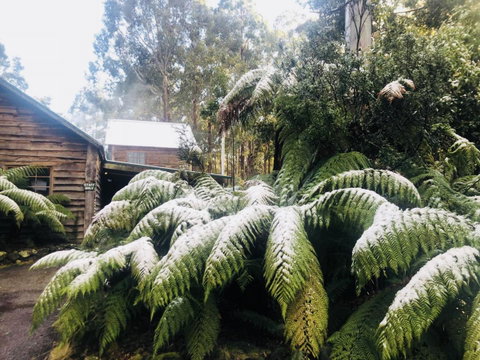Lemonthyme Wilderness Retreat - Accommodation Cairns 5