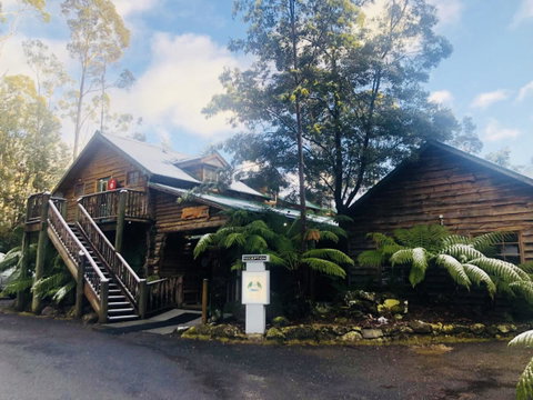 Lemonthyme Wilderness Retreat - Accommodation Cairns 4