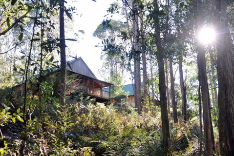 Lemonthyme Wilderness Retreat - Accommodation Cairns 25