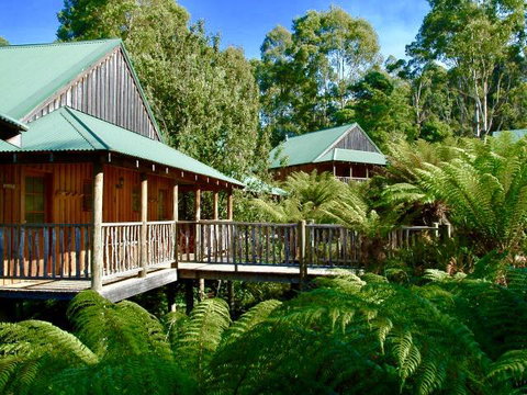 Lemonthyme Wilderness Retreat - Accommodation Cairns 11