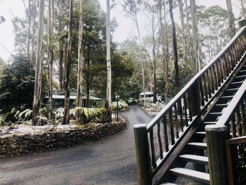 Lemonthyme Wilderness Retreat - Accommodation Cairns 15
