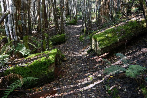 Lemonthyme Wilderness Retreat - Accommodation Cairns 22