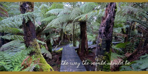Lemonthyme Wilderness Retreat - Accommodation Cairns 17