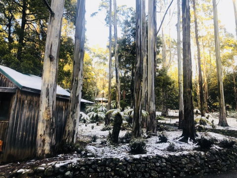 Lemonthyme Wilderness Retreat - Accommodation Cairns 6