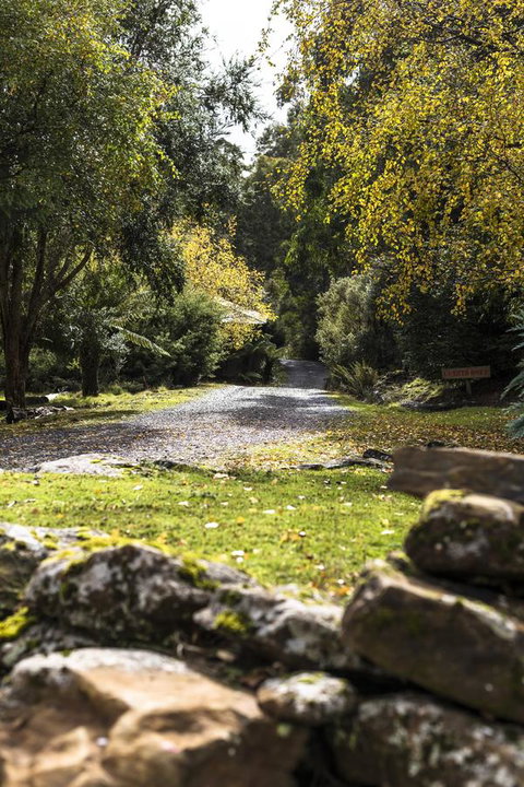 Cradle Forest Inn - Accommodation Cairns 34