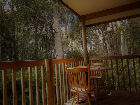 Cradle Forest Inn - Accommodation Cairns 2