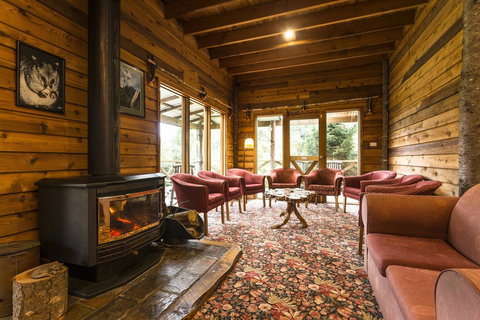 Cradle Forest Inn - Accommodation Cairns 1