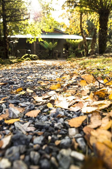 Cradle Forest Inn - Accommodation Cairns 35
