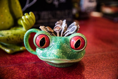 The Pickled Frog - Accommodation Cairns 13