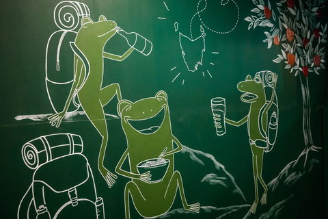 The Pickled Frog - Accommodation Cairns 20