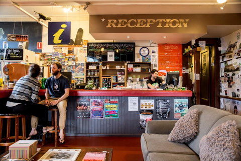 The Pickled Frog - Accommodation Cairns 0