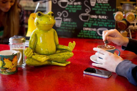The Pickled Frog - Accommodation Cairns 30
