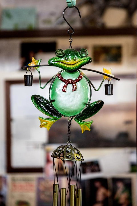The Pickled Frog - Accommodation Cairns 35