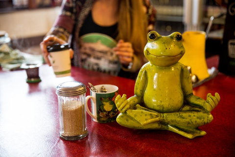 The Pickled Frog - Accommodation Cairns 32