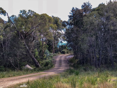 BAY OF FIRES ECO HUT Off Grid Experience At Binalong Bay - Accommodation Cairns 12