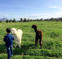 Taras Richmond Farmstay - Accommodation Cairns