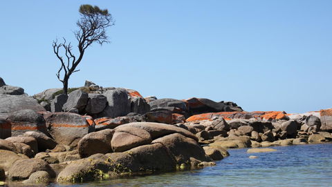 BAY OF FIRES SEACHANGE Ocean Frontage - Accommodation Cairns 21