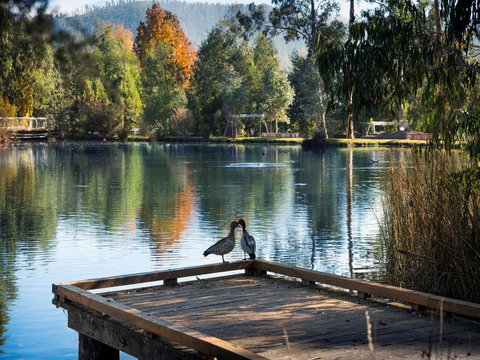 Peppers Marysville - Accommodation Cairns 12