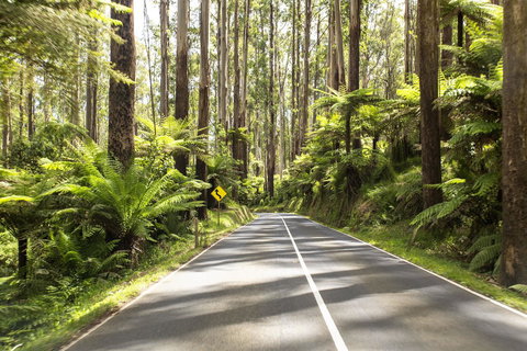 Peppers Marysville - Accommodation Cairns 21