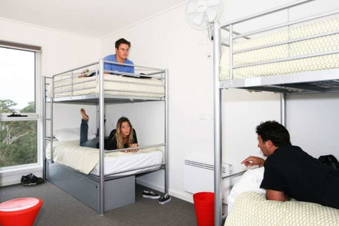 The Island Accommodation - Accommodation Cairns 2