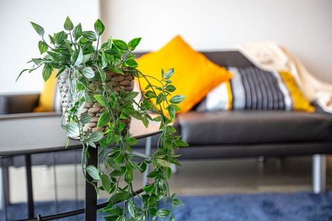 Brand New One/Two - Bed Room Apartment @ Maribyrnong - Accommodation Cairns 0