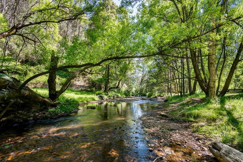 Avalon House - Accommodation Cairns 7
