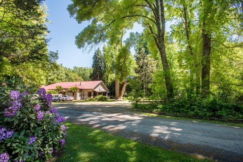 Avalon House - Accommodation Cairns 0