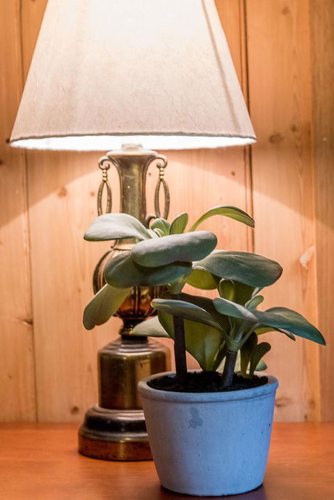 Avalon House - Accommodation Cairns 41