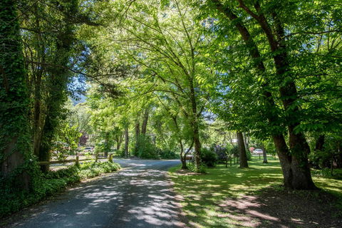 Avalon House - Accommodation Cairns 23