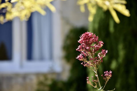 Villa Mallorca - Accommodation Cairns 28