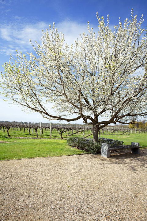 Lancemore Milawa - Accommodation Cairns 12