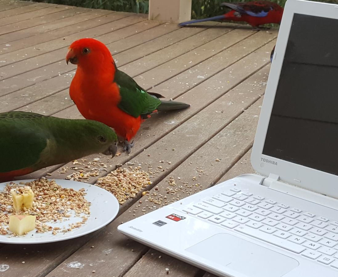  Accommodation Cairns