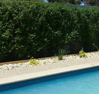 Robinvale Bridge Motel - Accommodation Cairns