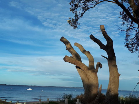 Apartments In Phillip Island Towers - Block C - Accommodation Cairns 10