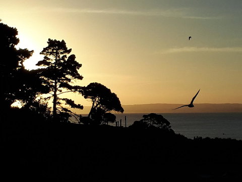 Apartments In Phillip Island Towers - Block C - Accommodation Cairns 19