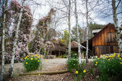 Lothlorien - Accommodation Cairns 0