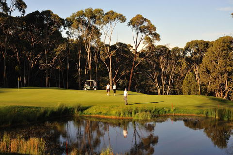 RACV Goldfields Resort - Accommodation Cairns 31