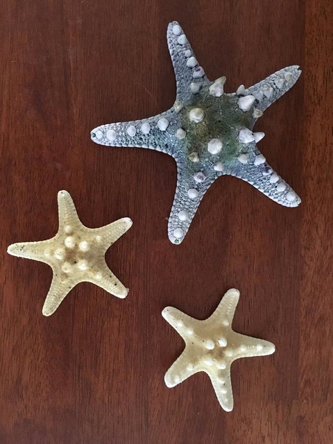 Ocean View Beach House - Accommodation Cairns 2