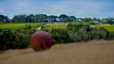 Jettycove Beach House - Accommodation Cairns 27