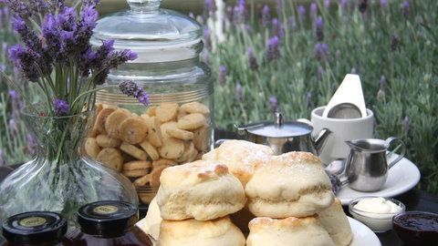 Jettycove Beach House - Accommodation Cairns 23