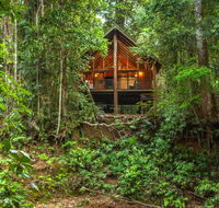 The Canopy Rainforest Treehouses  Wildlife Sanctuary - Accommodation Cairns