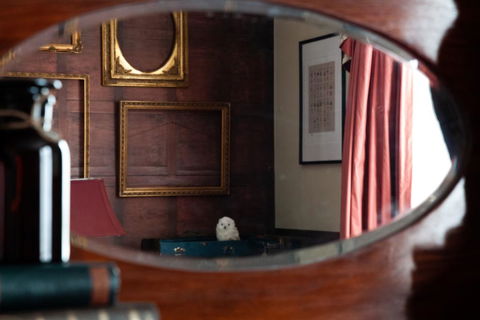 The Hotel Windsor - Accommodation Cairns 1