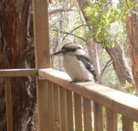 The Ledge Holiday House - Accommodation Cairns