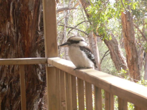 The Ledge Holiday House - Accommodation Cairns 0