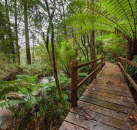 The Source Otways - Accommodation Cairns
