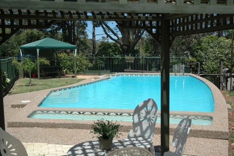 The Tree Motel - Accommodation Cairns 0