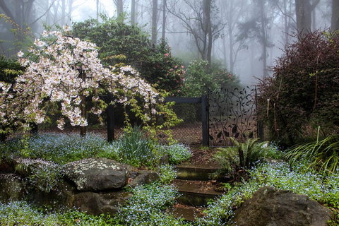 Tomah Retreat - Just RELAX - Accommodation Cairns 0