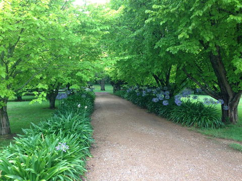 Toscana On Greenhills - Accommodation Cairns 1