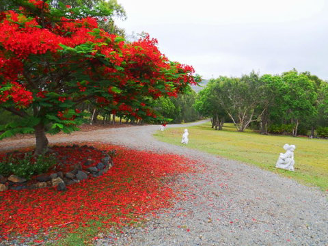 TRANQUILO BEACH HOUSE - Accommodation Cairns 1