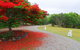 TRANQUILO BEACH HOUSE - thumb 1